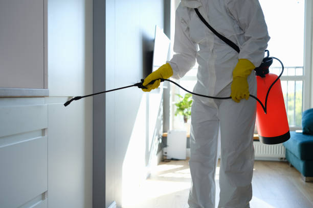 Best Mold Remediation  in Hartford, MI